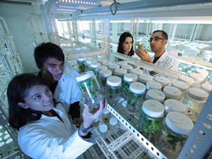 自动发货平台的doss网站攻击